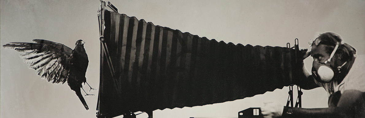 Exposition Alphonse-Bernard Seny