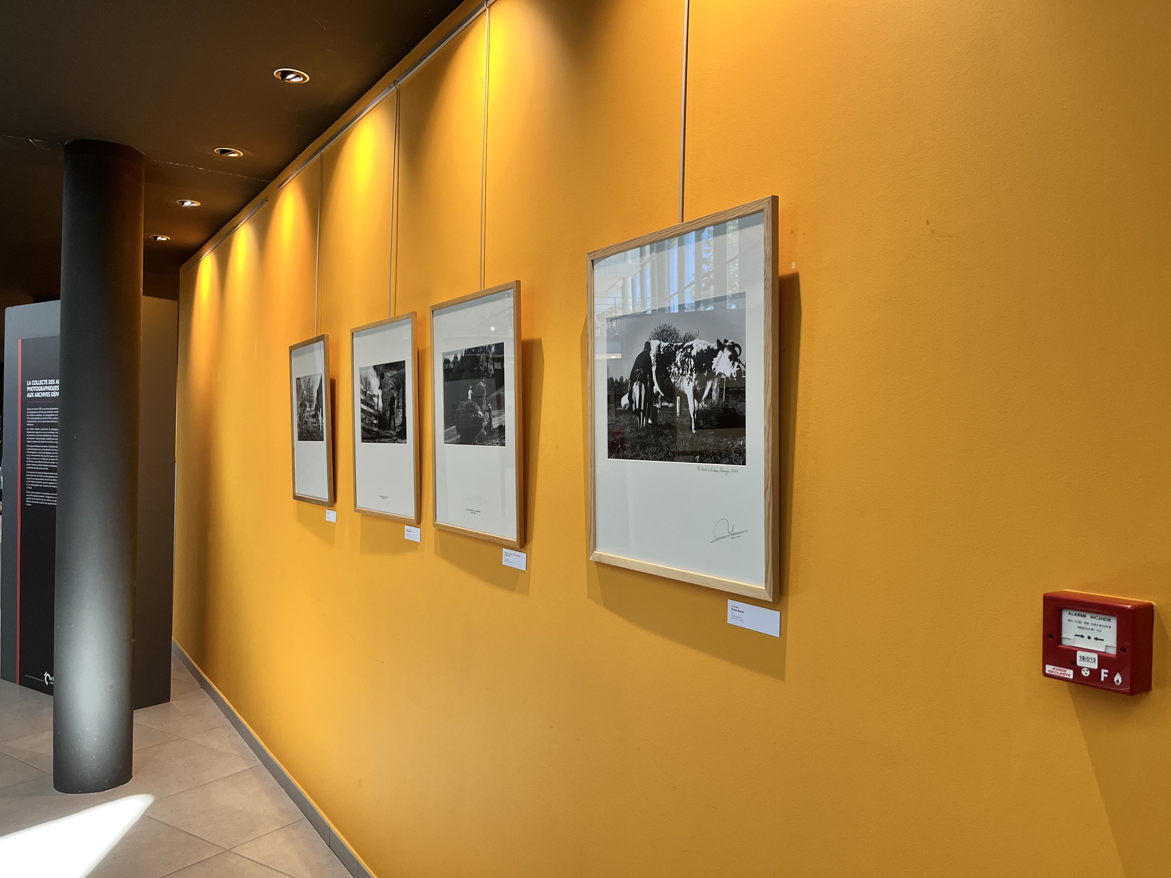 Christian Malon, photographe du monde paysan