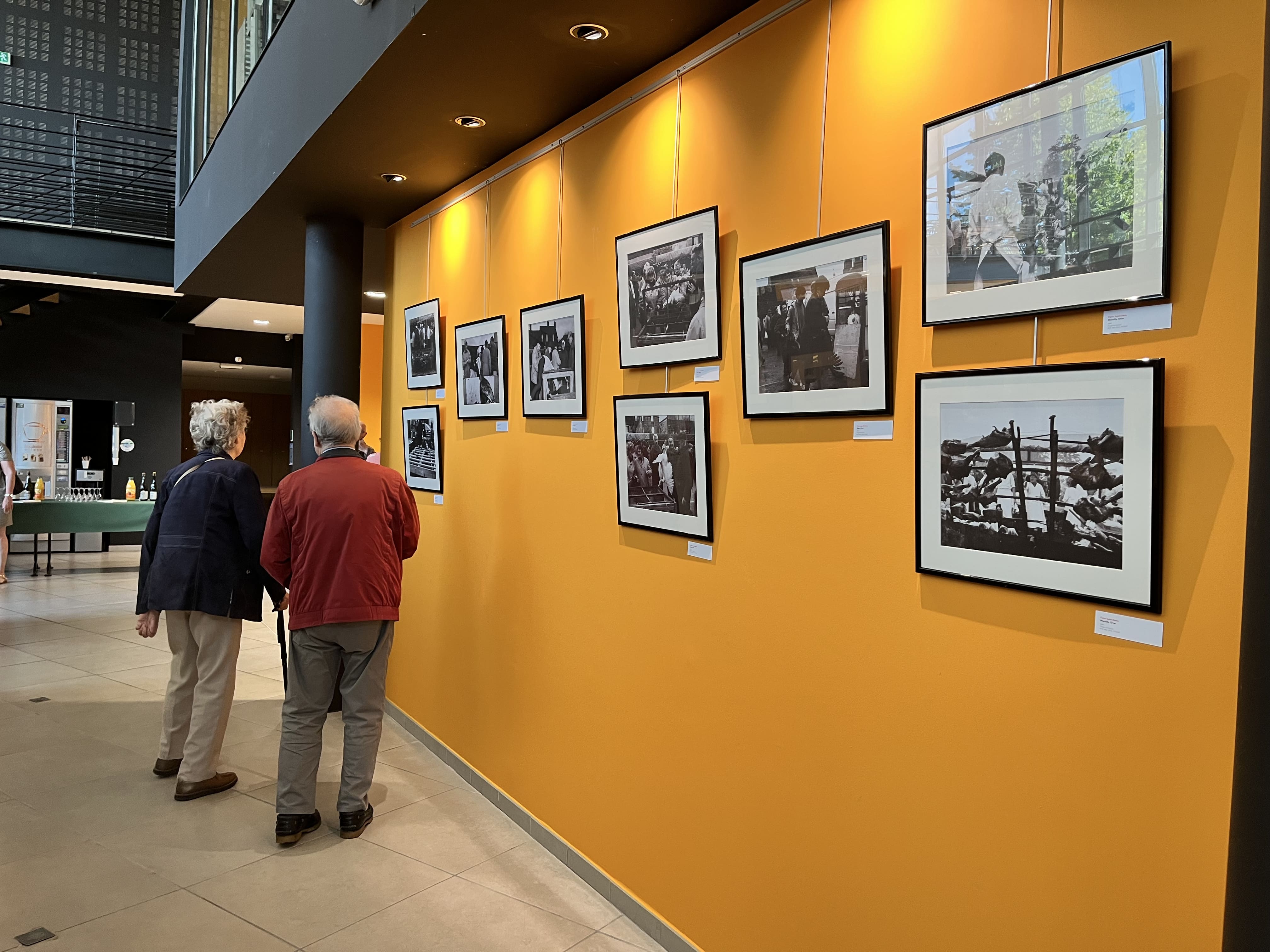 Christian Malon, photographe du monde paysan